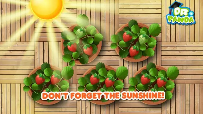 Veggie Garden Free android App screenshot 3